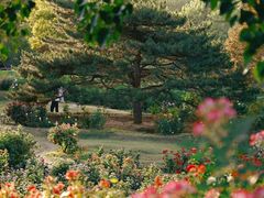 -国家植物园