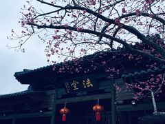 -广富林郊野公园