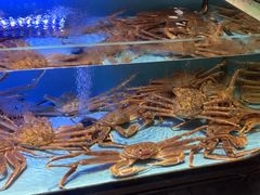 -阿伟海鲜楼·福建菜(延寿店)