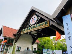 -上海海湾国家森林公园