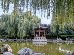 -西安青龙寺遗址景区