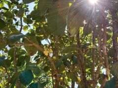 -南宁花花大世界景区