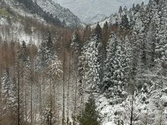 -山王坪喀斯特国家生态公园
