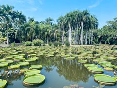 -中国科学院西双版纳热带植物园
