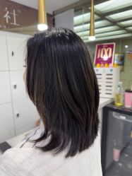 -镁连社·美联社