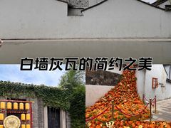 -青果巷历史文化街区