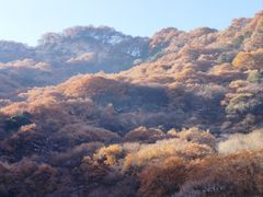 -少华山国家森林公园