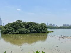 -海珠湖公园