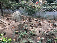 -常州淹城野生动物世界