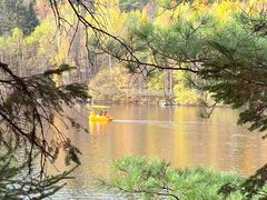 -五营红松林海景区