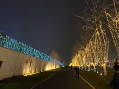 -南京眼步行桥