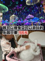 -萌兔星空蹦床撸兔馆