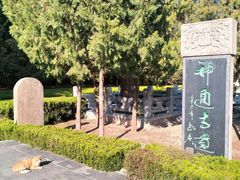 -四门塔风景区