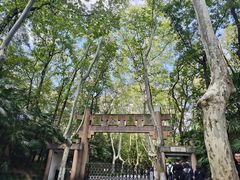 -灵谷景区