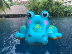 -三亚湾海居铂尔曼度假酒店