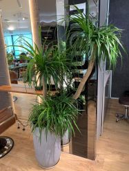 -意廊 Hair Salon