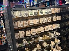 -酷乐潮玩(金桥国际店)