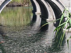 -阳澄湖半岛旅游度假区