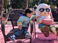 -苏州太湖西山岛开心农场