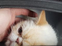 -美联众合动物医院·24h京西诊疗中心