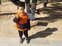 -厦门悦华酒店