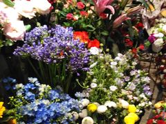 -谷莠子花艺气球派对·绿植造景·花艺沙龙(东海缤纷天地店)