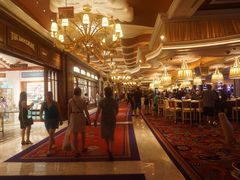 -拉斯维加斯永利酒店