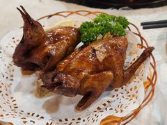 -一煲鸽