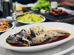 黑头鱼-青岛美食鲁菜大酒店