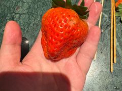 -牛New寿喜烧(金鹰世界店)