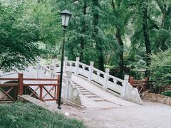 -素山寺森林公园