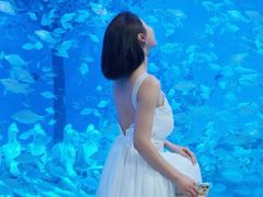-合肥海洋世界