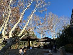 -春晖园度假酒店温泉