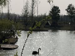 -祥源·阜阳生态乐园