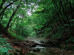 -本溪汤沟绿石谷森林公园
