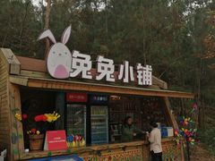 -黄龙溪欢乐田园