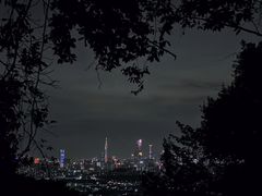 -火炉山森林公园
