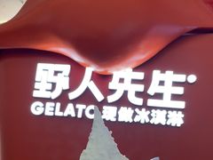 -野人先生现做冰淇淋(北京王府井东方新天地店)