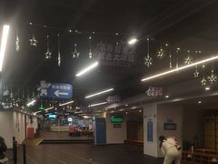 -世界之窗阿尔卑斯冰雪世界