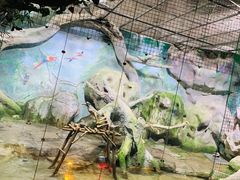 -泉城欧乐堡海洋极地世界