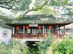 -上海醉白池公园