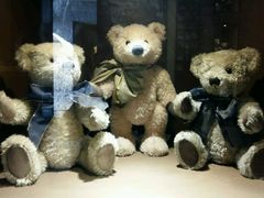 -济州岛泰迪熊博物馆