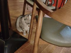 -H立方实景剧情密室(天河旗舰店)