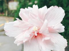 -广州市紫泥堂文化创意园景区