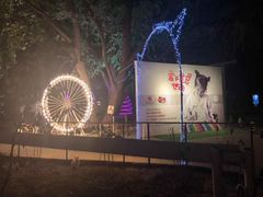 -枫花园汽车电影院(朝阳公园店)