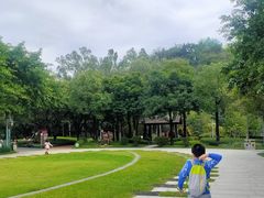 门面-王借岗森林公园