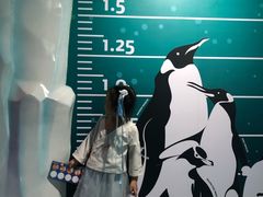 -暹罗海洋世界