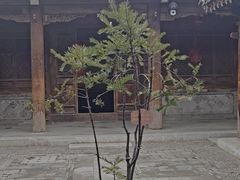 -胡氏古民居建筑