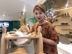 -飞行喵MR PILOT|猫舍·猫咖(静安大融城店)