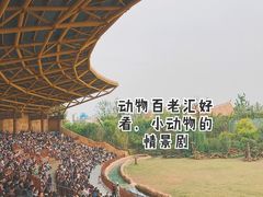 -郑州银基国际旅游度假区